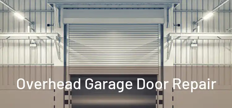  Overhead Garage Door Repair 